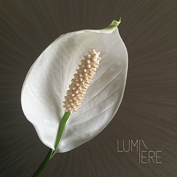 2017 LUMIÈRE cover
