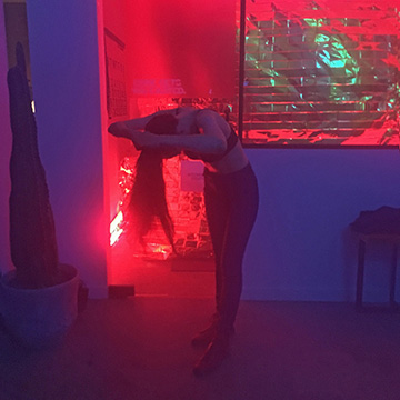 2019 house cover
